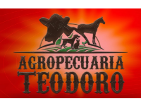 1129_AgropecuariaTeodoro