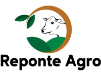 Agro Reponte Tiradentes do Sul Filial 2